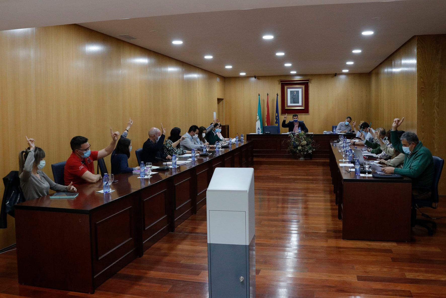 Pleno de Marzo de 2021